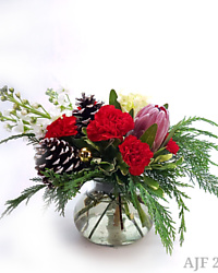 cedar carnation holiday cheer festive christmas