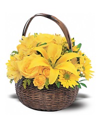 Yellow Basket